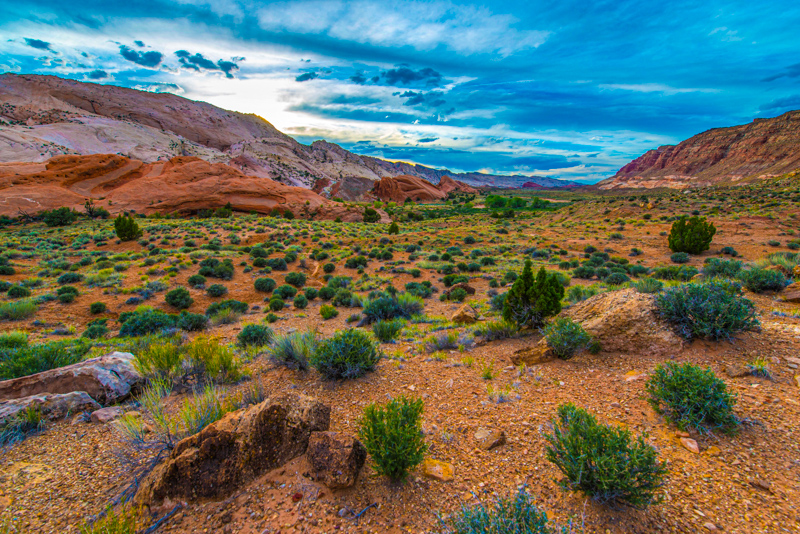Grand Gulch Trail