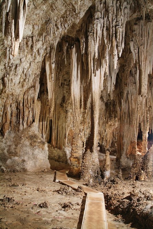 Lower Cave Tour