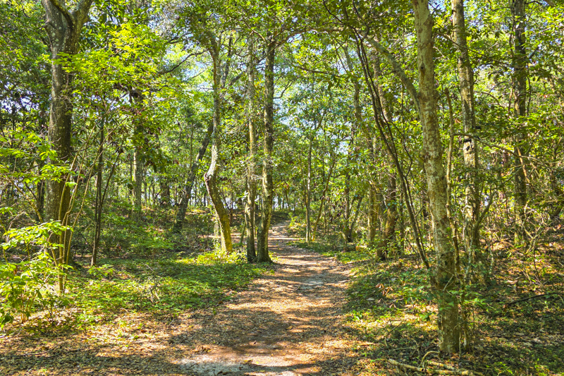 Thomas Hariot Trail