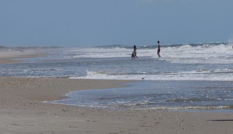 Ocracoke