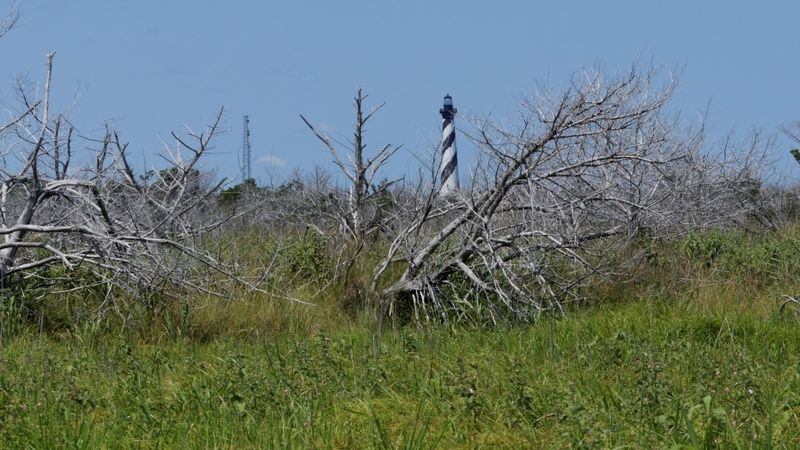 Cape Hatteras Lighthouse