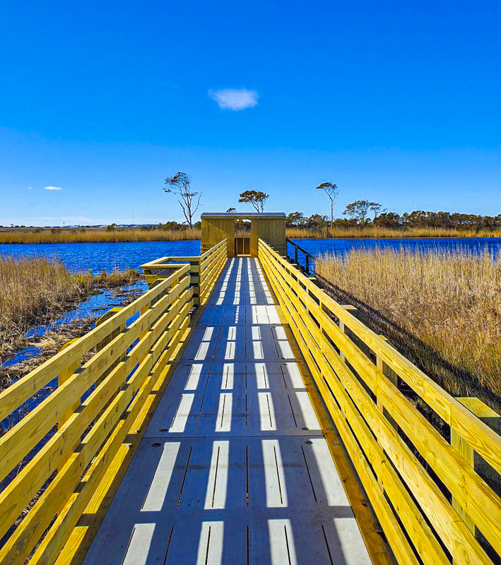 Bodie Island Marsh Blind