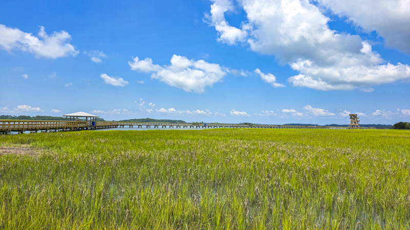 Port Royal Boardwalk & Observation Tower