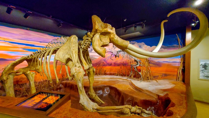 Nevada State Museum