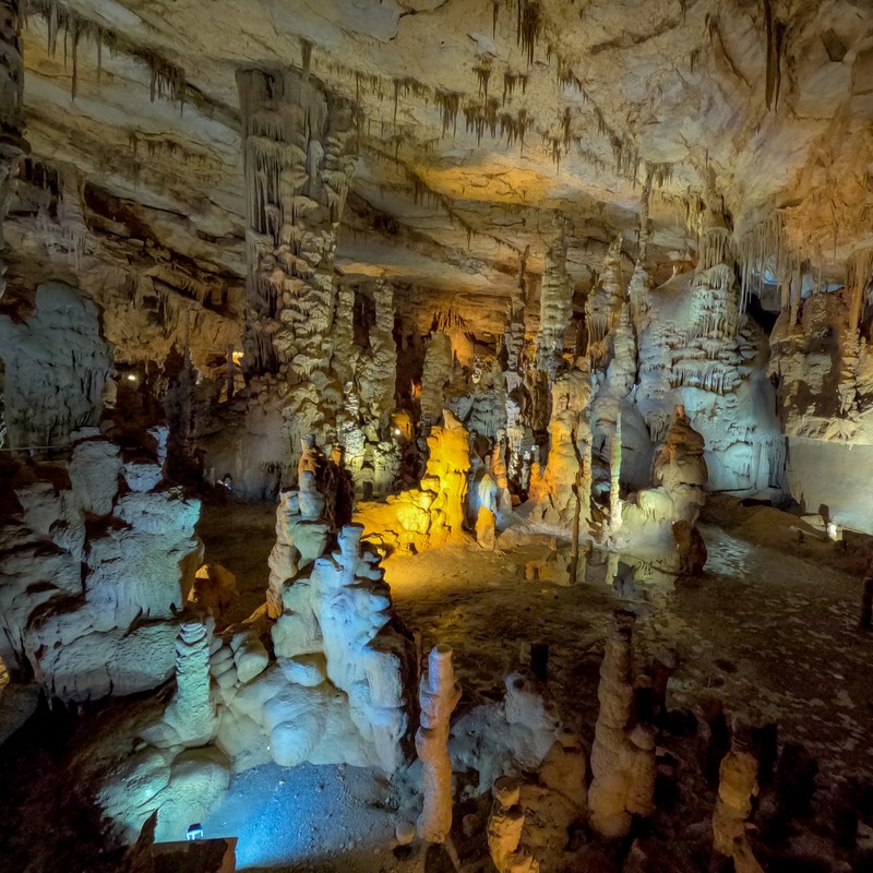 Stalagmite Forest