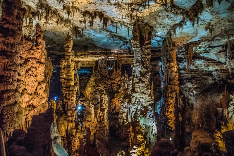 Stalagmite Forest