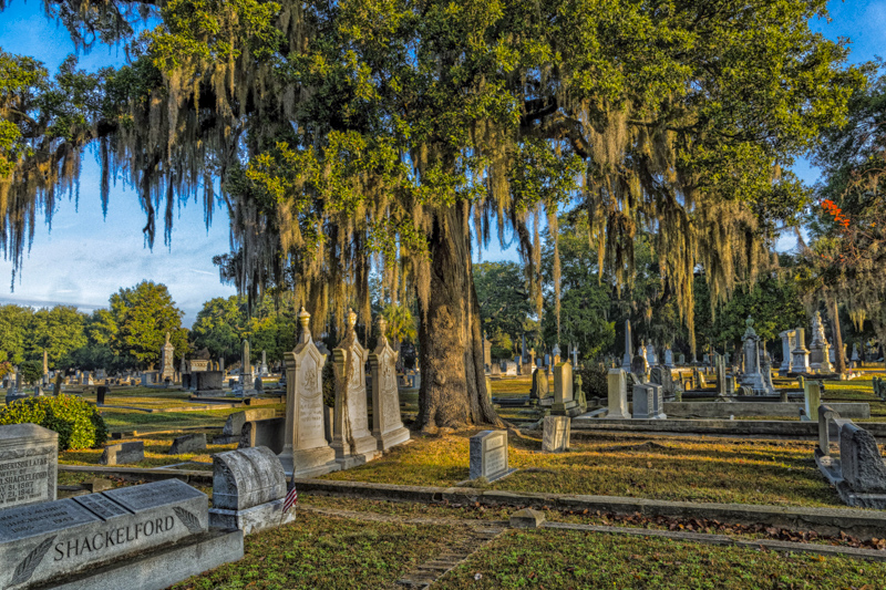 Magnolia Cemetery