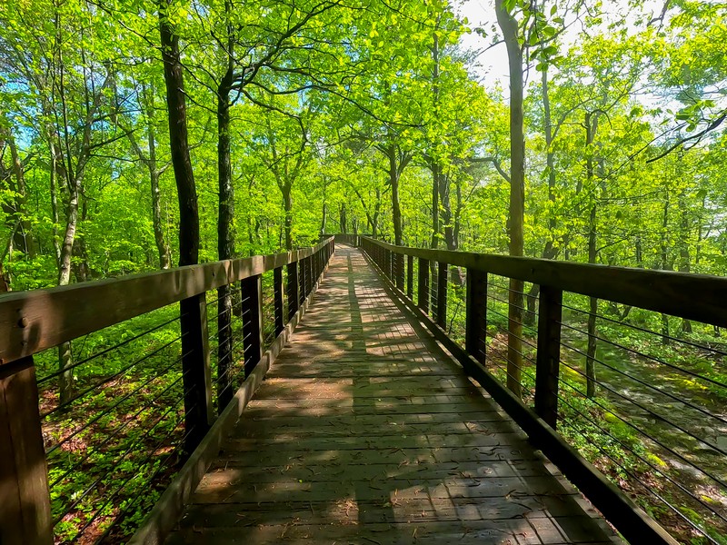 Bald Rock Trail