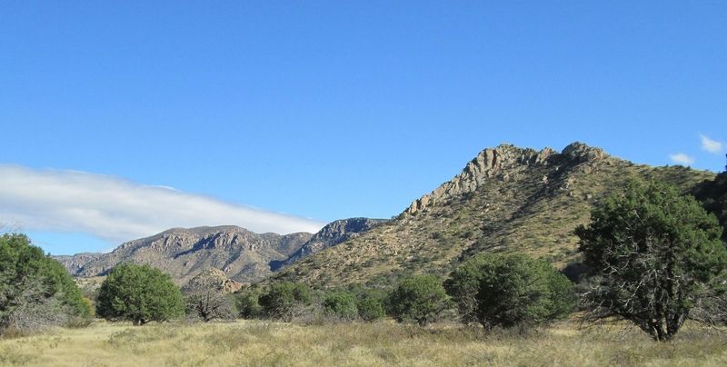 Bonita Creek Loop