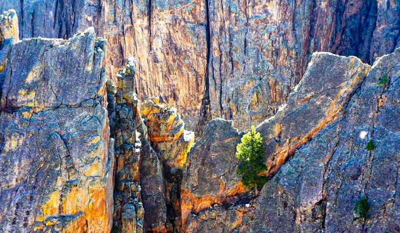 Black Canyon of the Gunnison