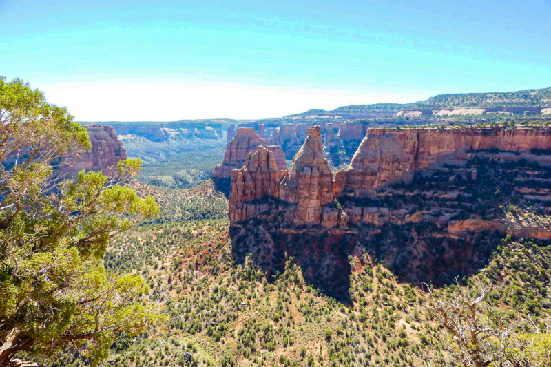 Canyon Rim Trail