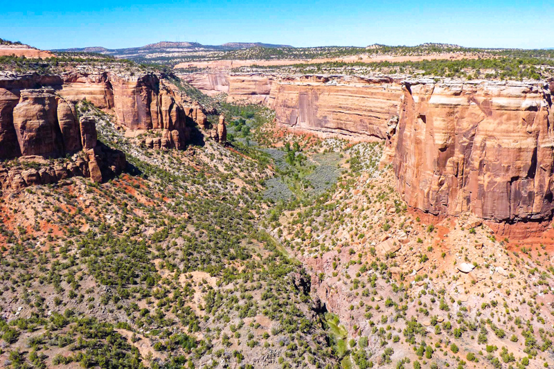 Ute Canyon View