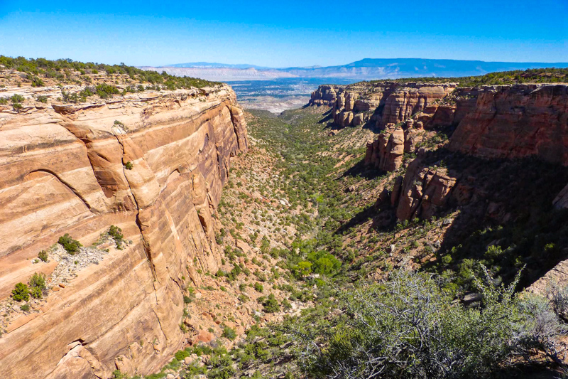Red Canyon Overlook