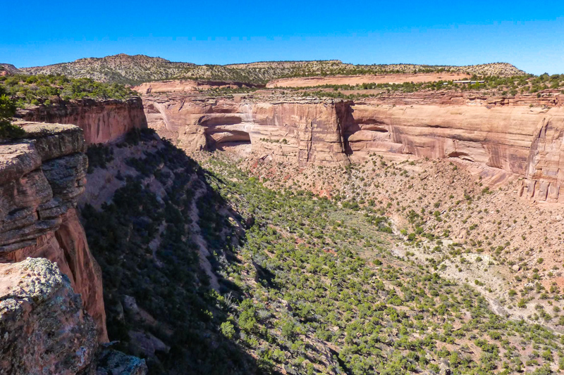 Upper Ute Canyon Overlook