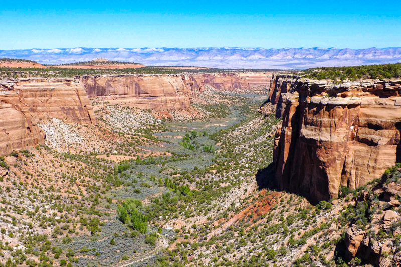 Ute Canyon View