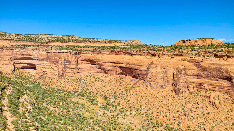 Otto's Trail