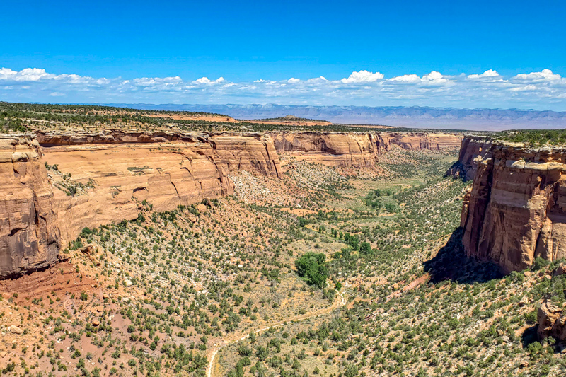 Ute Canyon View
