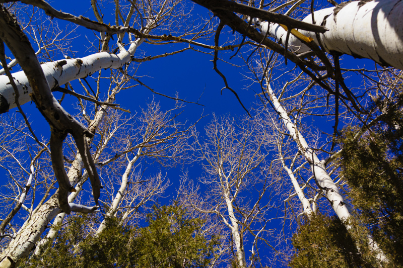 Montville Nature Trail