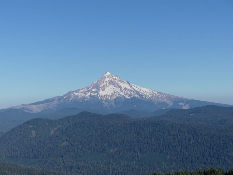 Sherrard Viewpoint