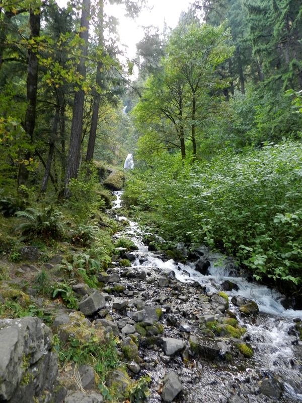 Wahkeena Falls
