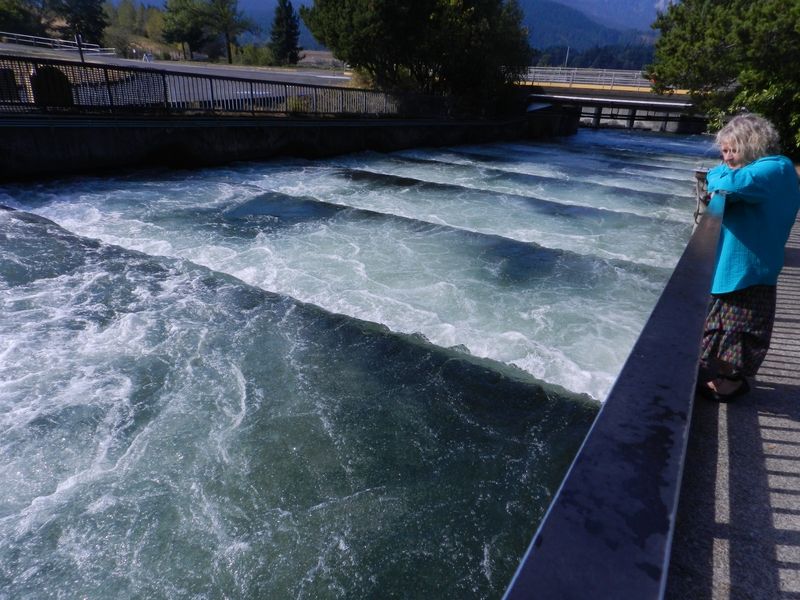 Bonneville Lock and Dam