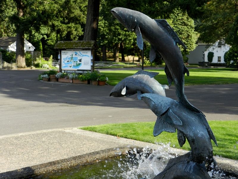Bonneville Fish Hatchery
