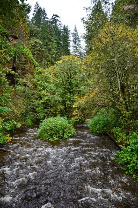 Oneonta Gorge