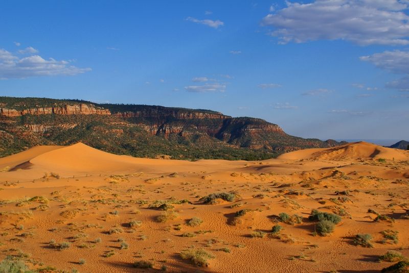 Coral Pink Sand Dunes Overlook