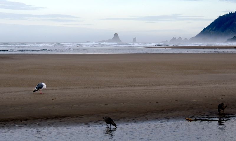Cannon Beach