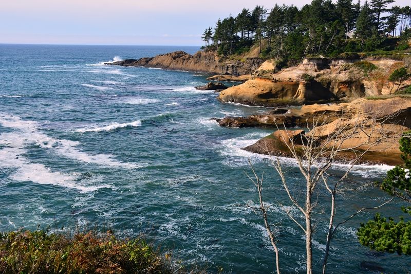 Tillamook