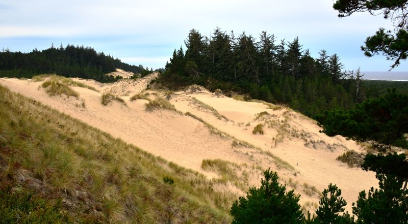 Oregon Dunes National Recreation Area