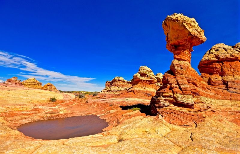 Coyote Buttes South - Cottonwood Cove