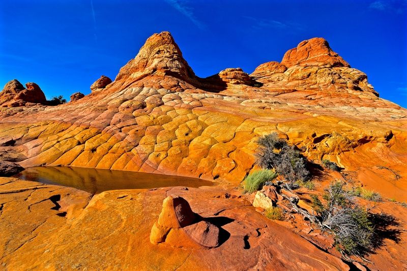 Coyote Buttes South - Cottonwood Cove