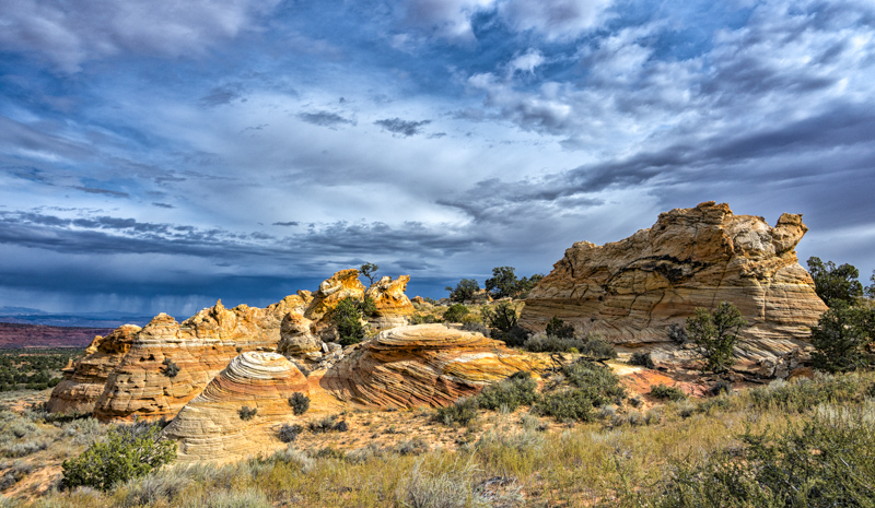 Cottonwood Cove