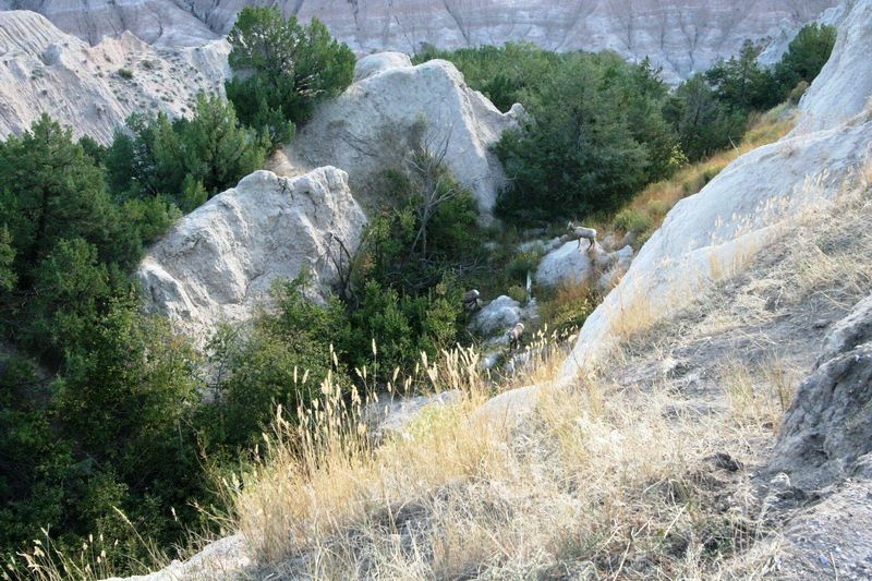 Badlands NP