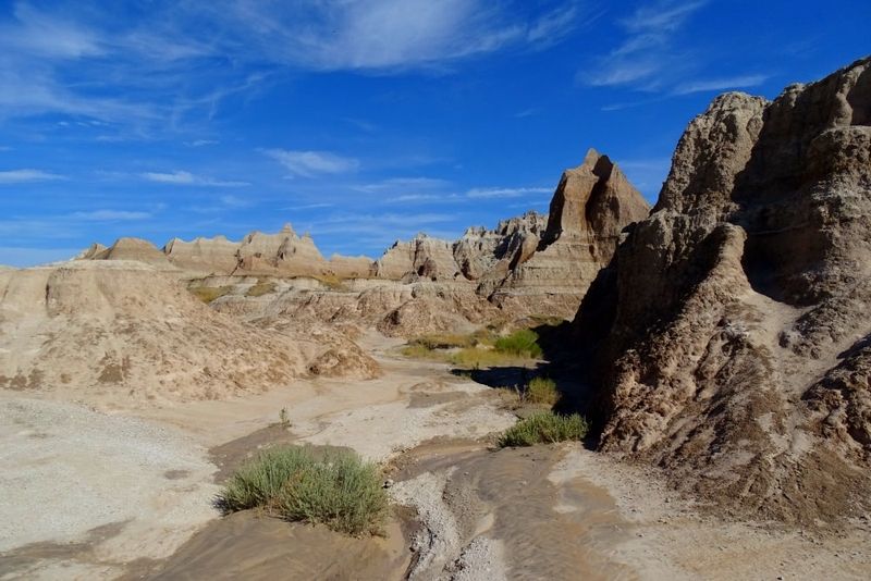 Fossil Exhibit Trail