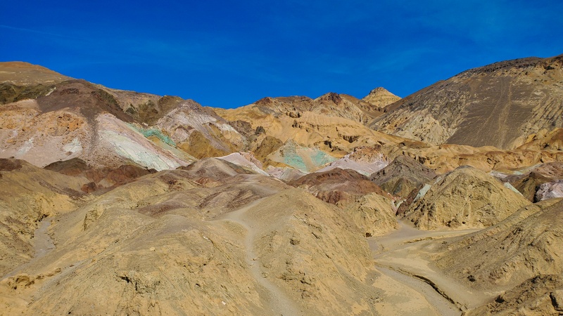 Artist's Palette