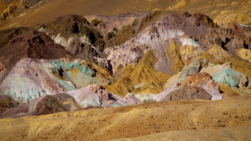 Artist's Palette