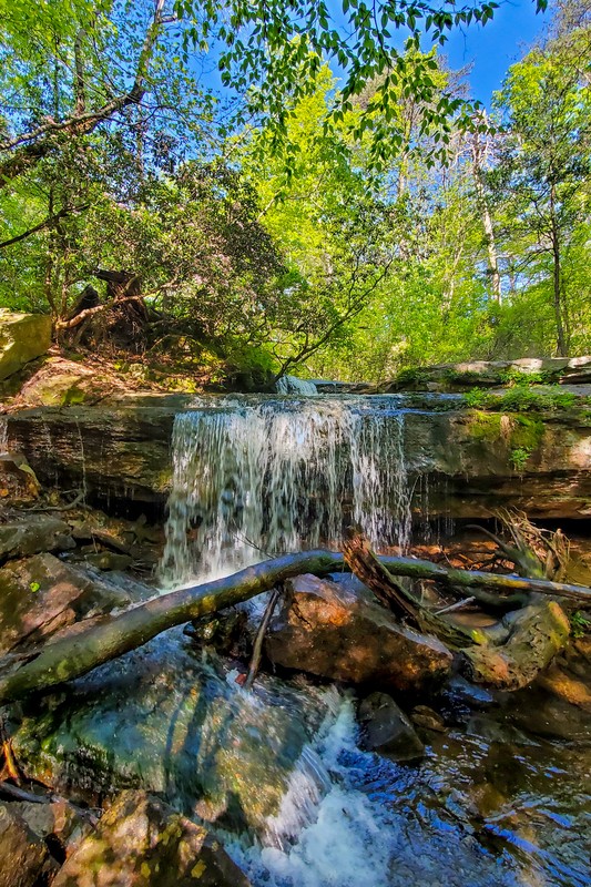 Laurel Falls