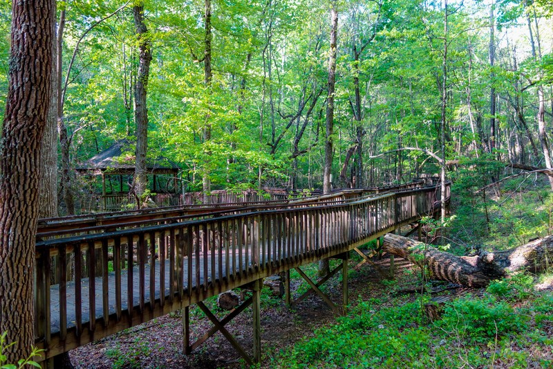 Talmadge Butler Boardwalk