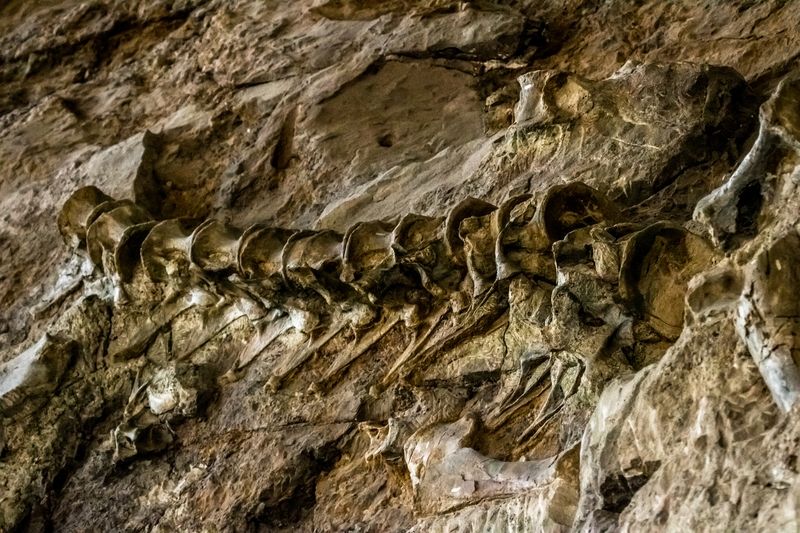 Quarry Exhibit Hall