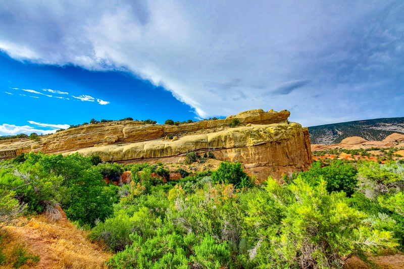 Turtle Rock