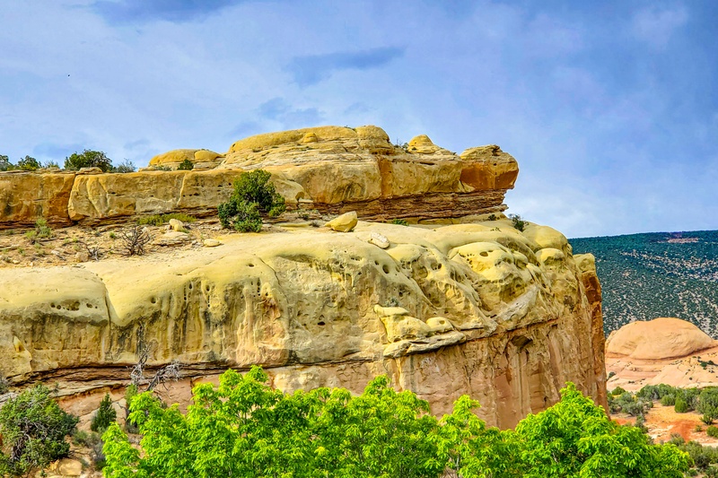 Turtle Rock