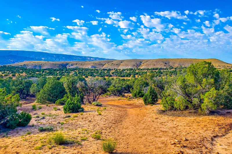 Desert Voices Trail