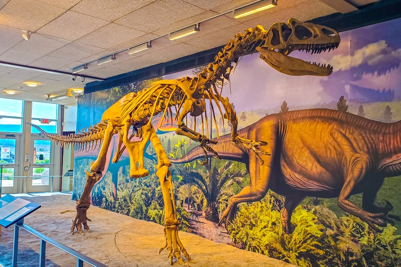 Quarry Exhibit Hall