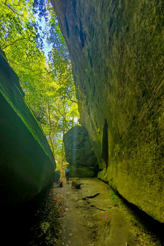 Dismals Canyon