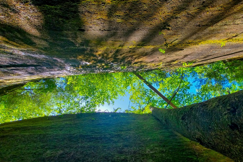 Dismals Canyon
