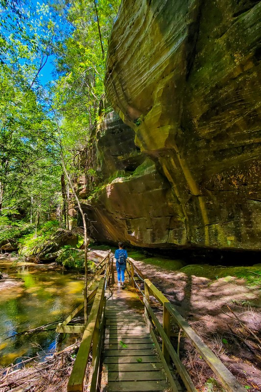 Weeping Bluff