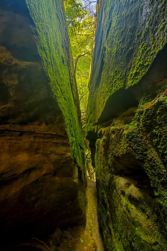 Dismals Canyon