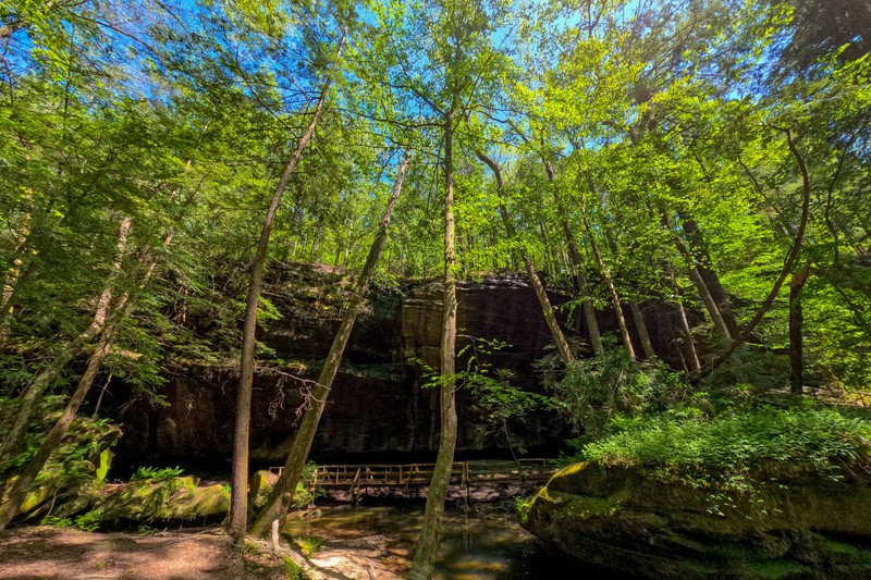 Dismals Canyon